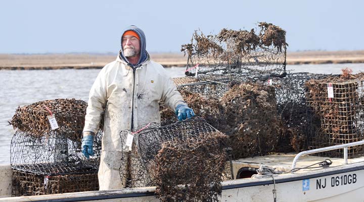 Crab Trap Cleanup Earth Science Article for Students