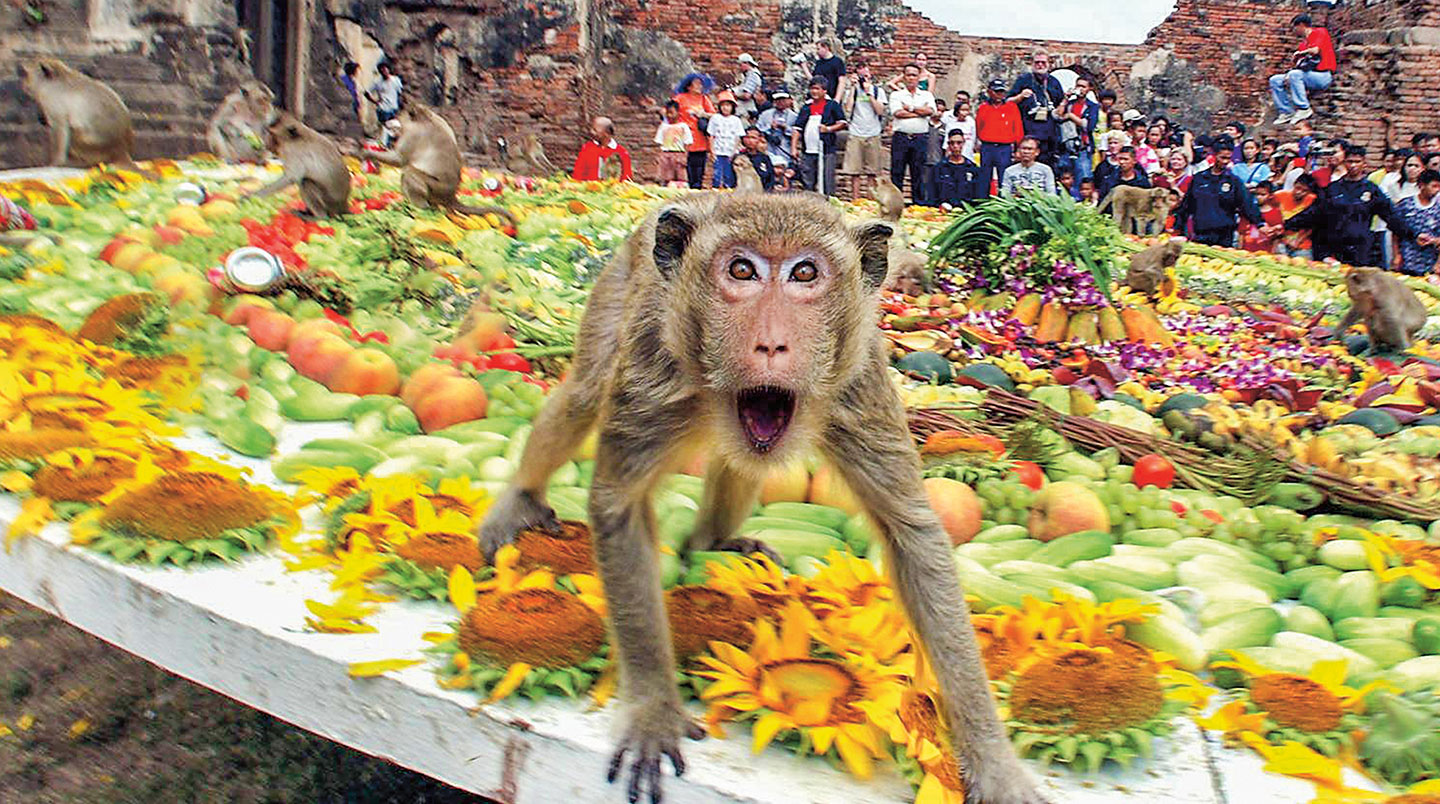 Monkeys eat on a table piled with fruits, vegetables, and flowers.
