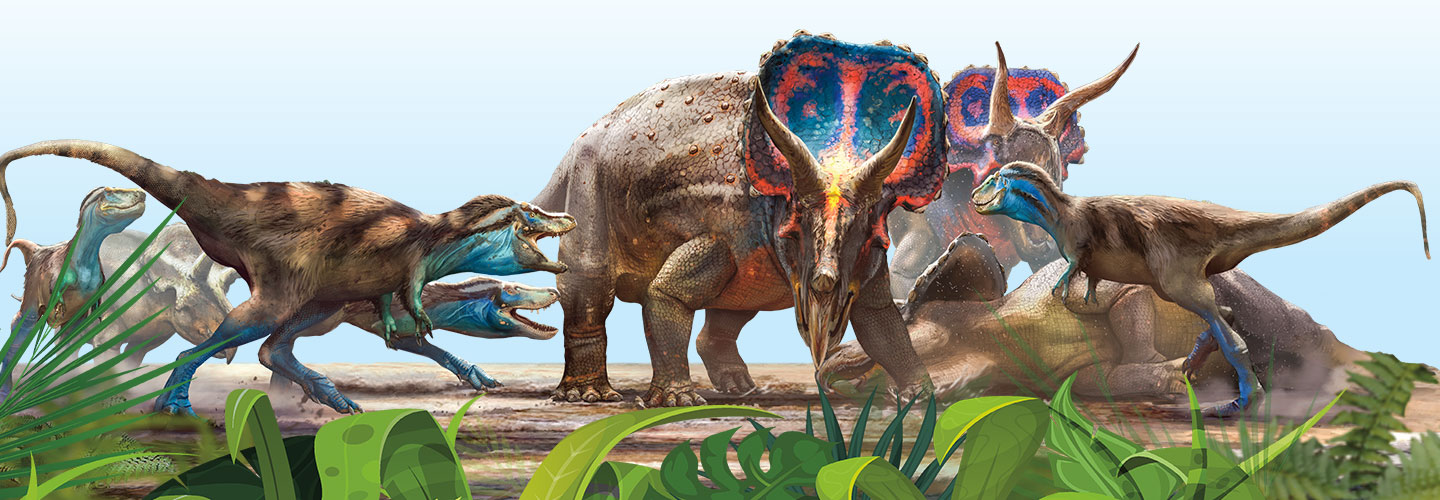 Two triceratops protect a third from 4 baby tyrannosaurs.