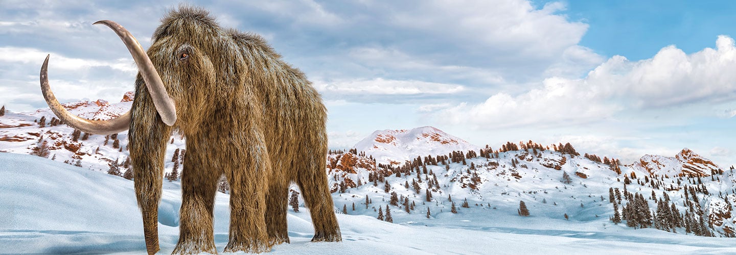 Graphic of a wooly mammoth in a snowy landscape