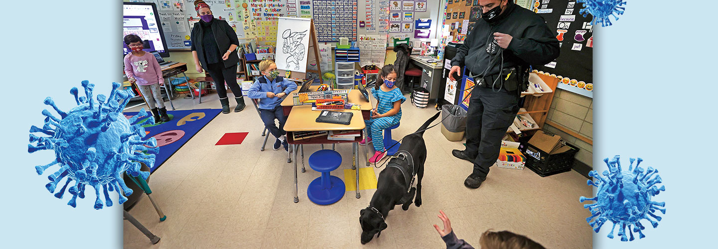 A dog sniffs for Covid in a classroom.