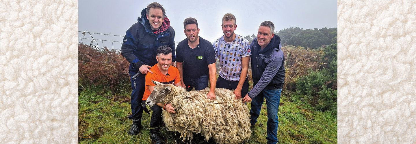 Photo of five people posing next to a sheep