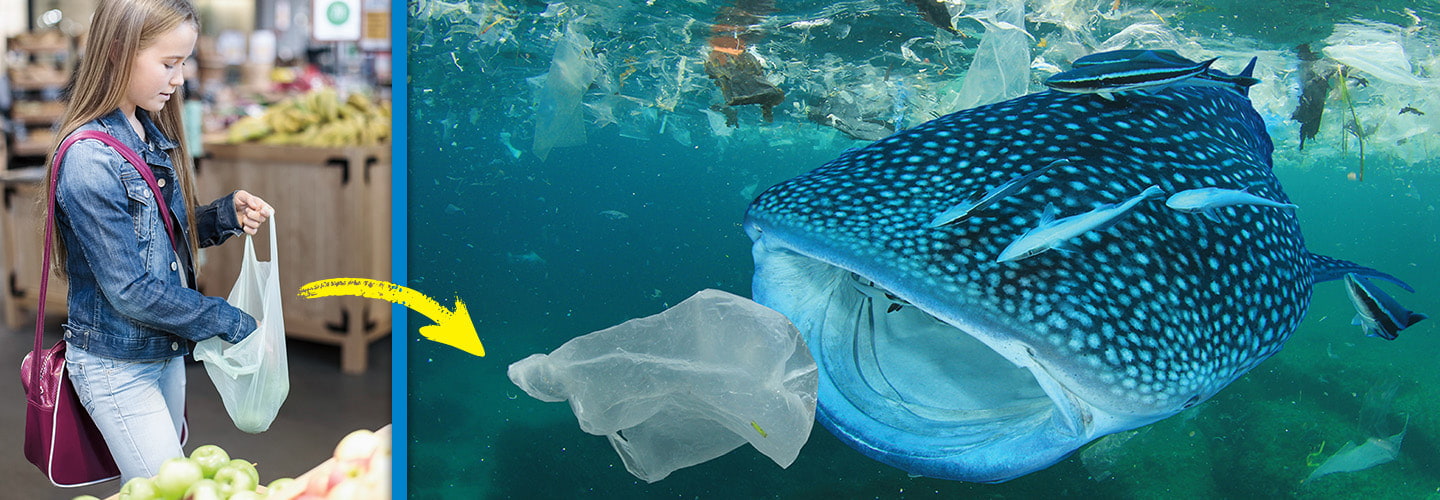 Image of plastic bag in store and same plastic bag in ocean about to be swallowed by whale shark