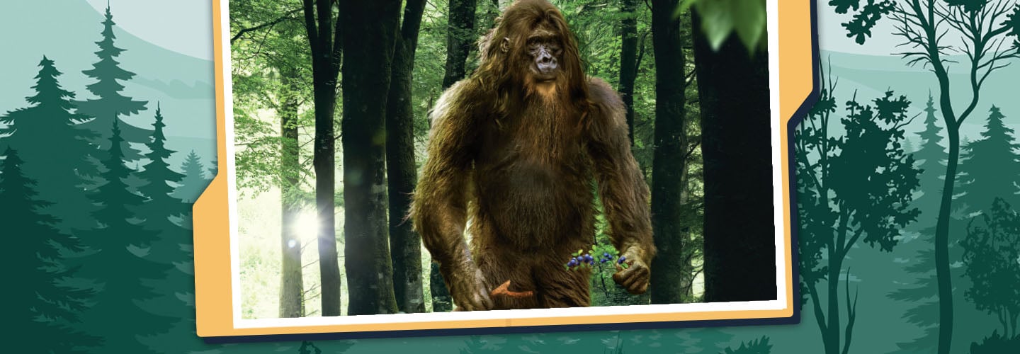 Bigfoot standing in a forest holding purple flowers