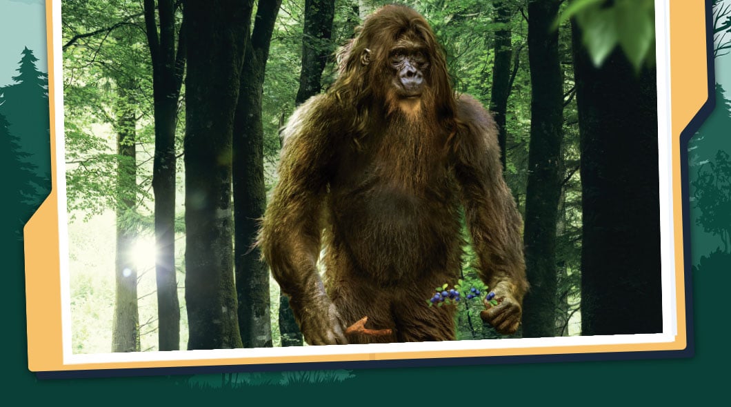 A large, hairy Bigfoot-like creature standing in a forest holding purple flowers