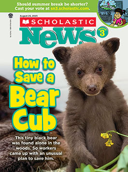 Explore our August 25, 2025, issue