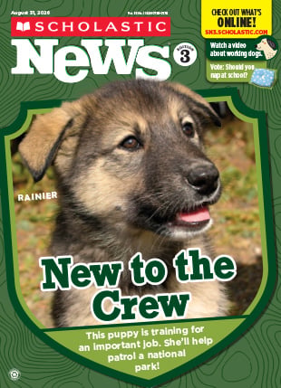 Explore our August 31, 2026, issue