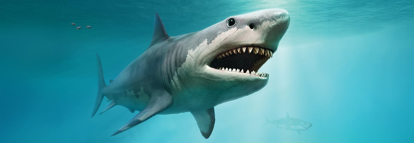 A large shark swims underwater with its mouth open, revealing rows of sharp teeth